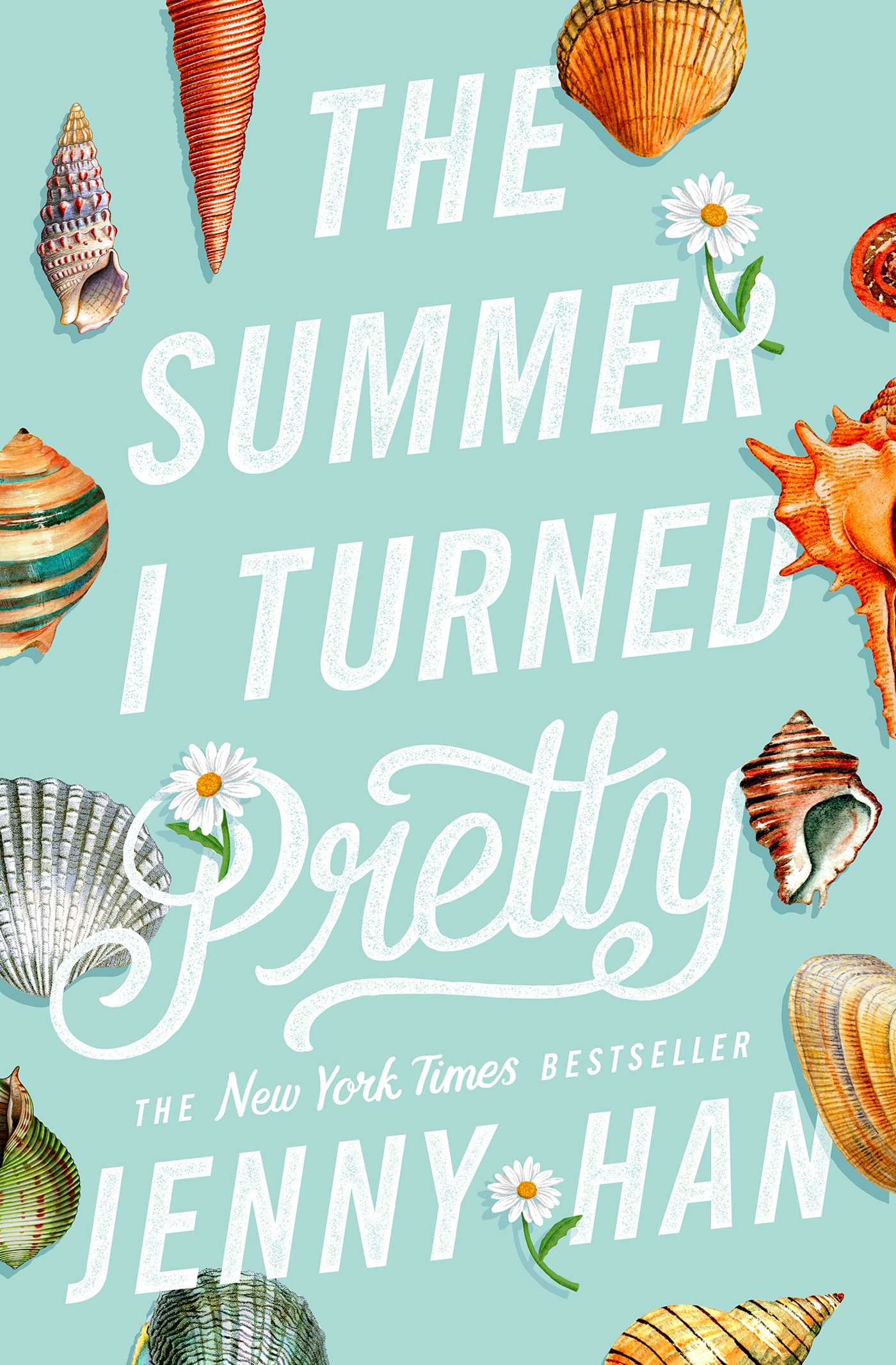 The Summer I Turned Pretty cover image