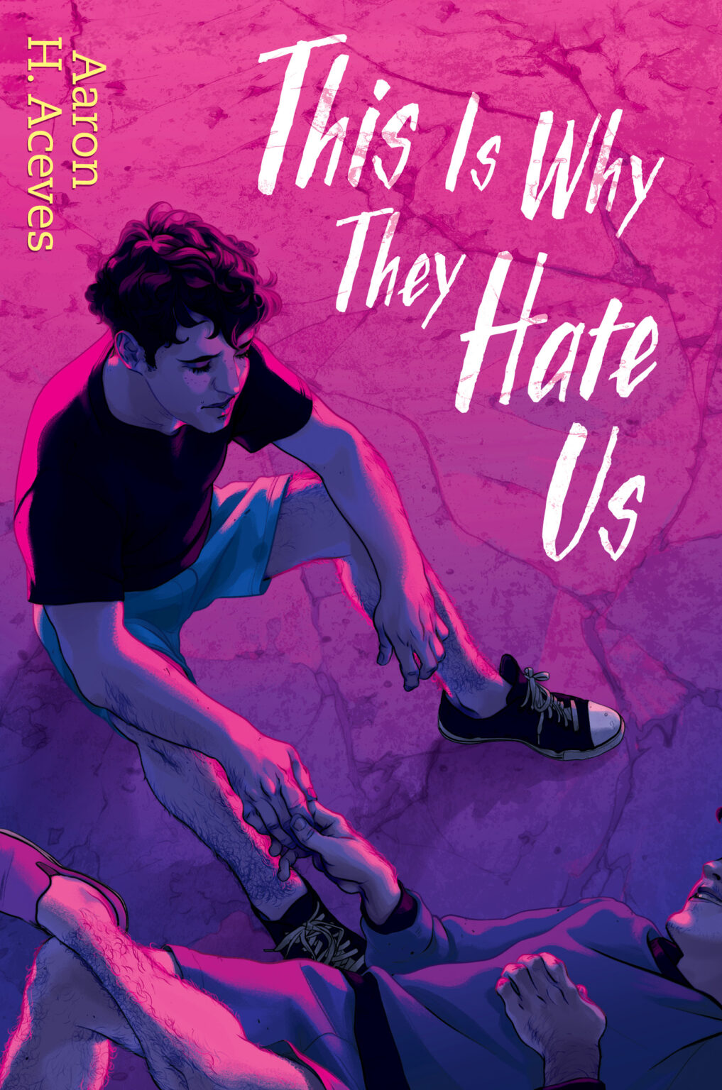 This Is Why They Hate Us cover
