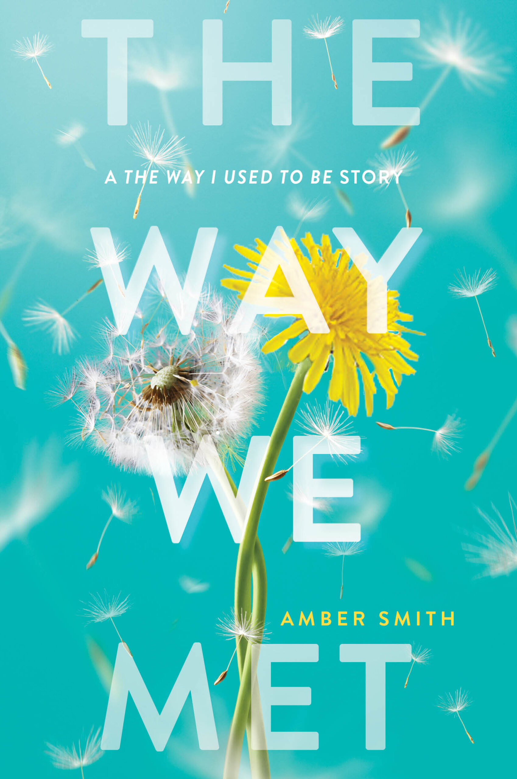 The Way We Met cover image